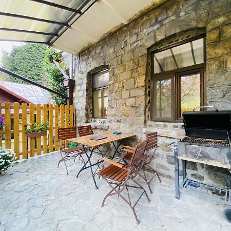 Apartment Carol Private Yard With Barbeque And Parking Sinaia Exteriér fotografie