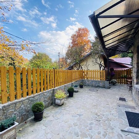 Apartment Carol Private Yard With Barbeque And Parking Sinaia Exteriér fotografie