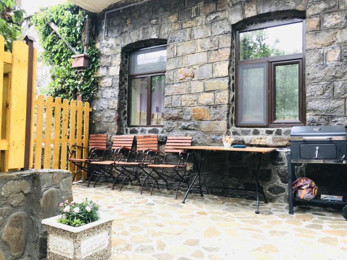 Apartment Carol Private Yard With Barbeque And Parking Sinaia Exteriér fotografie
