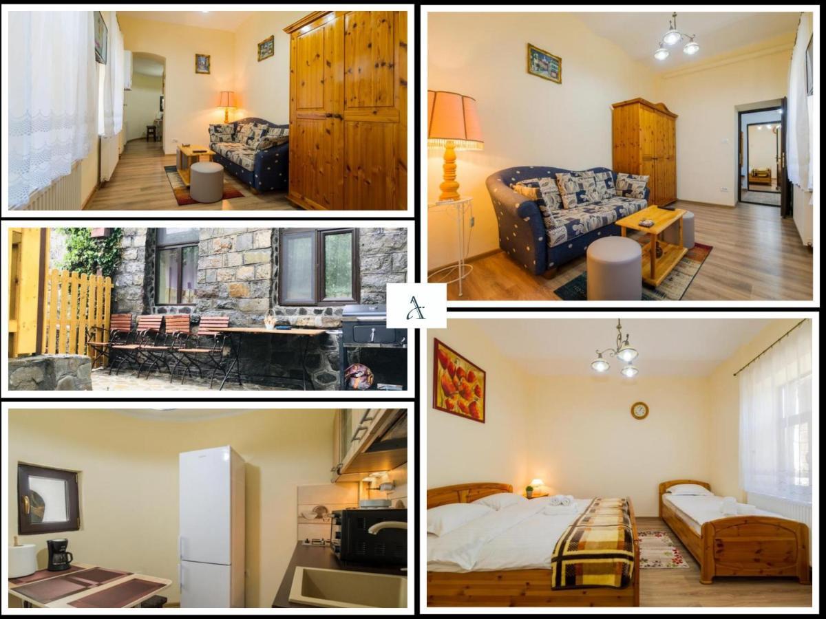 Apartment Carol Private Yard With Barbeque And Parking Sinaia Exteriér fotografie