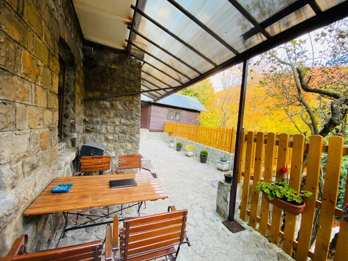 Apartment Carol Private Yard With Barbeque And Parking Sinaia Exteriér fotografie