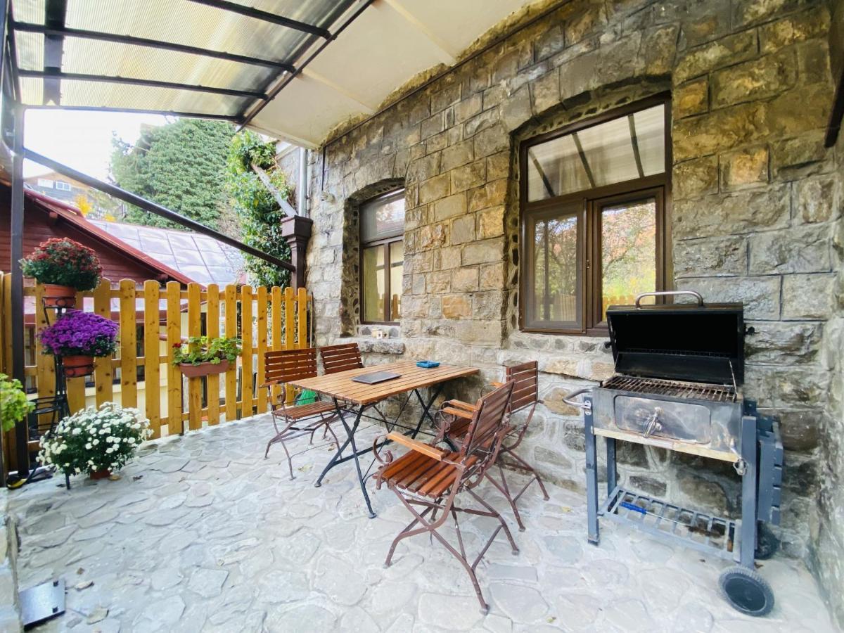 Apartment Carol Private Yard With Barbeque And Parking Sinaia Exteriér fotografie