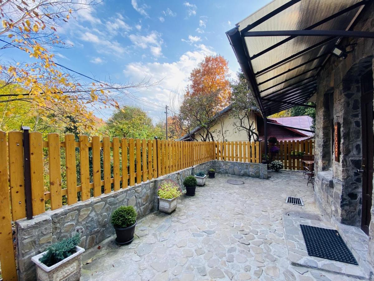 Apartment Carol Private Yard With Barbeque And Parking Sinaia Exteriér fotografie