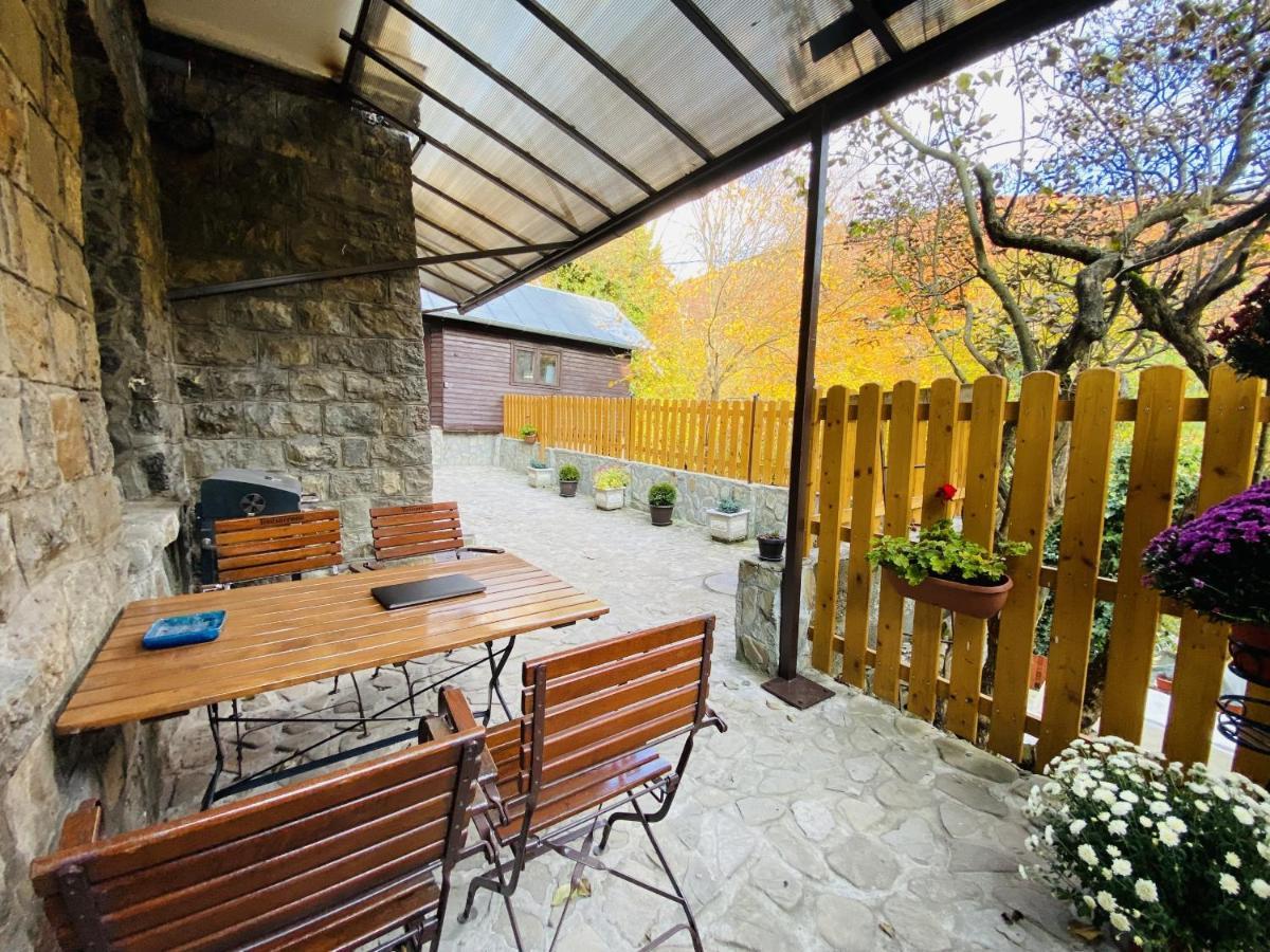 Apartment Carol Private Yard With Barbeque And Parking Sinaia Exteriér fotografie