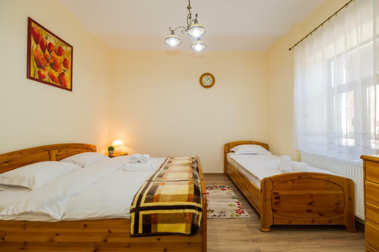 Apartment Carol Private Yard With Barbeque And Parking Sinaia Exteriér fotografie