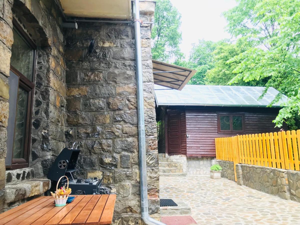 Apartment Carol Private Yard With Barbeque And Parking Sinaia Exteriér fotografie